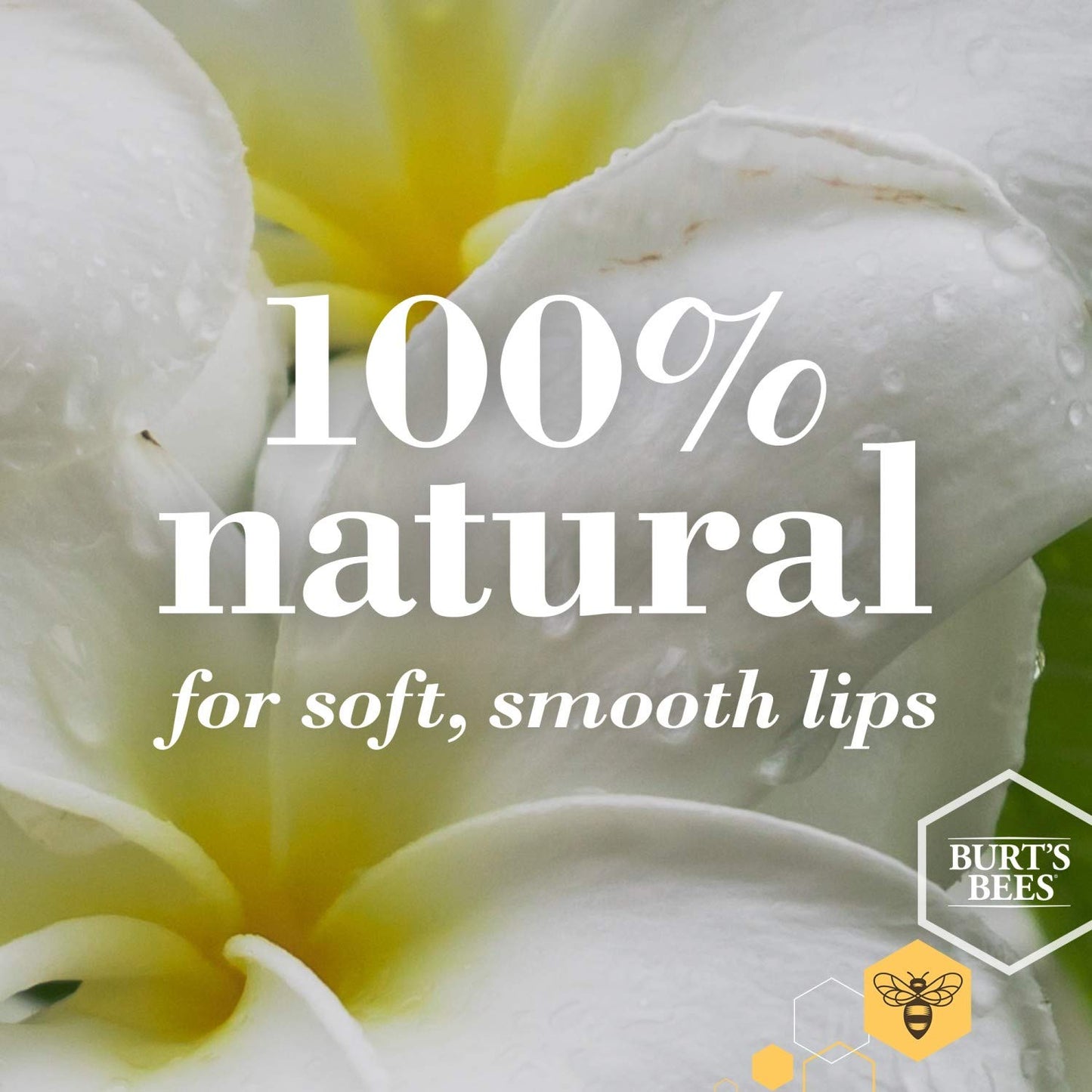 Burt's Bees Lip Balm - Coconut and Pear, Lip Moisturizer With Responsibly Sourced Beeswax, Tint-Free, Natural Origin Conditioning Treatment, 2 Tubes, 0.15 oz.
