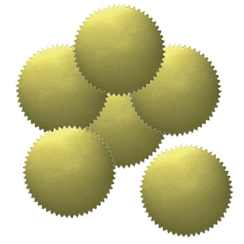 HAYES SCHOOL PUBLISHING VA313 Stickers Gold Blank, 2" Diameter (Pack of 50)