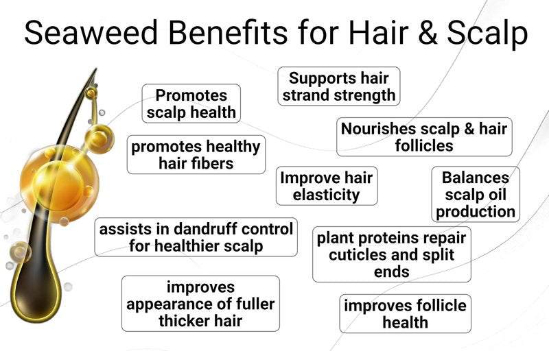 Saltie Hydrating Shampoo - Deep Moisture - Repairs and Bonds Dry Damage - Adds Shine - Reduces Frizz -No Sulfates, Parabens, Gluten, and Phthalates - No Artificial Color