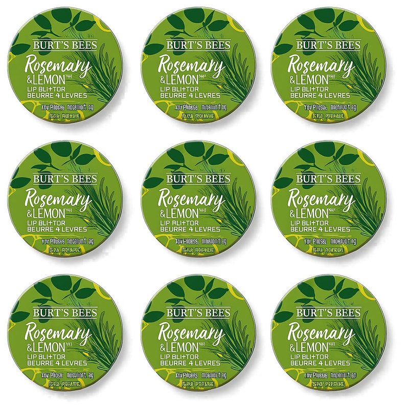 Burt's Bees Lip Butter .4oz Tin - Rosemary and Lemon - 9 Count Value Pack