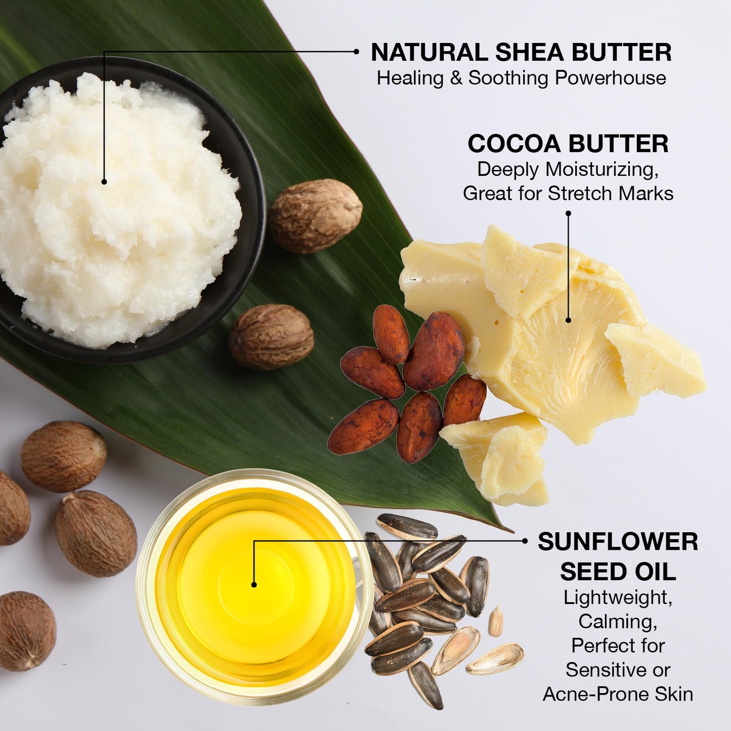 Ginger Lily Farms Botanicals Shea Indulgence 24H Deep Hydration Body Lotion, 100% Vegan & Cruelty-Free, Vanilla Sugar Bliss Scent, 1 Gallon (128 fl oz) Refill