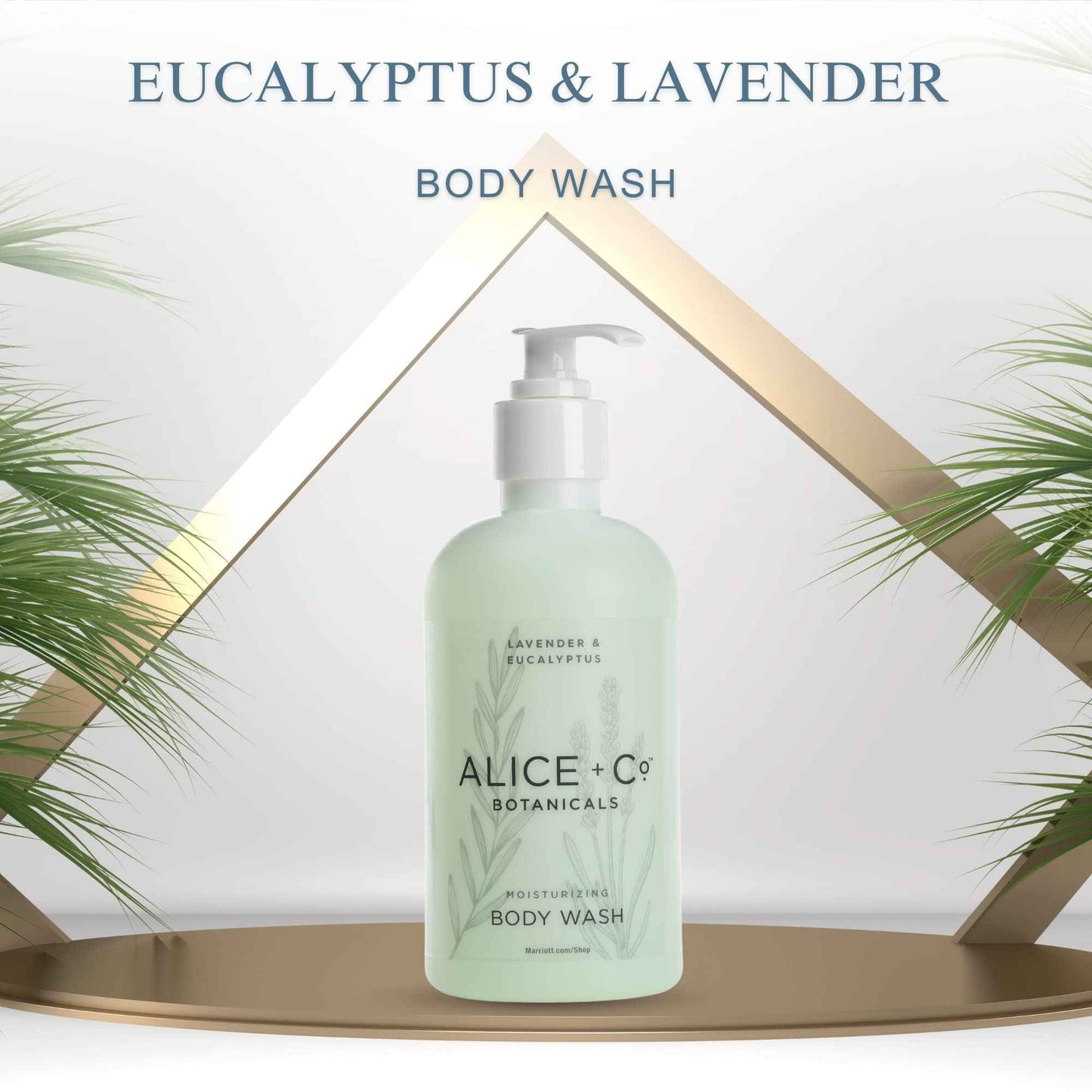 Alice + Co. Body Wash | Lavender & Eucalyptus | Hotel Bath Amenities | Fairfield by Marriott | 8.5 oz Body Wash