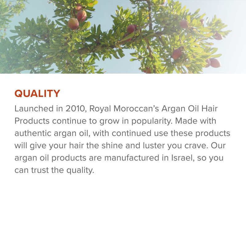 Royal Moroccan Sculpting Gel | Moroccan Argan Oil For Hair | Curly Hair Styling Gel | Hair Styling & Smoothing Products | Quick Drying Argan Oil Hair Products | 300 ml (10.14 fl oz)