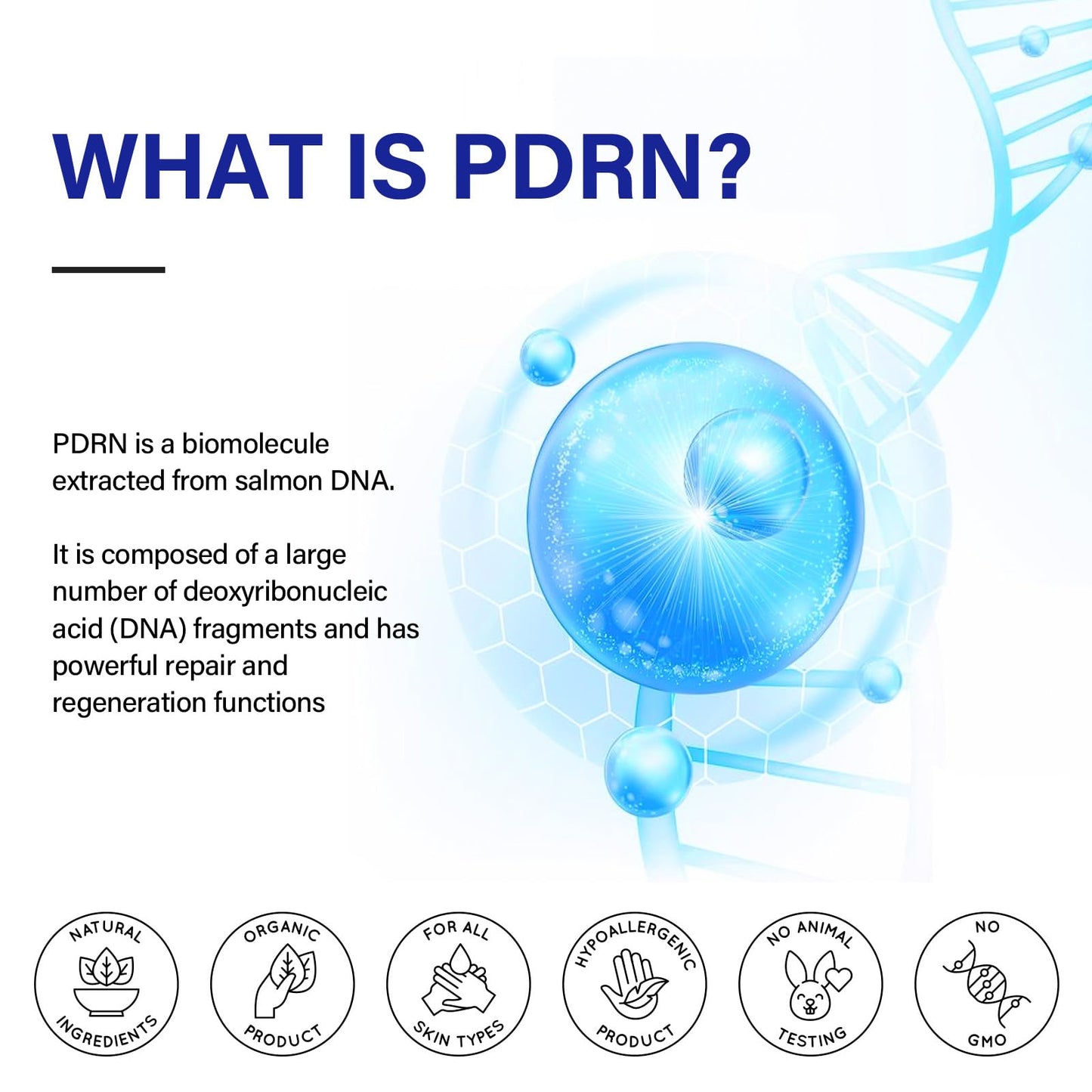 PDRN Serum丨Lifts and firms, Reduces Wrinkles, Deeply Moisturizes丨Peptides, PDRN丨Anti-aging, Improves Dullness