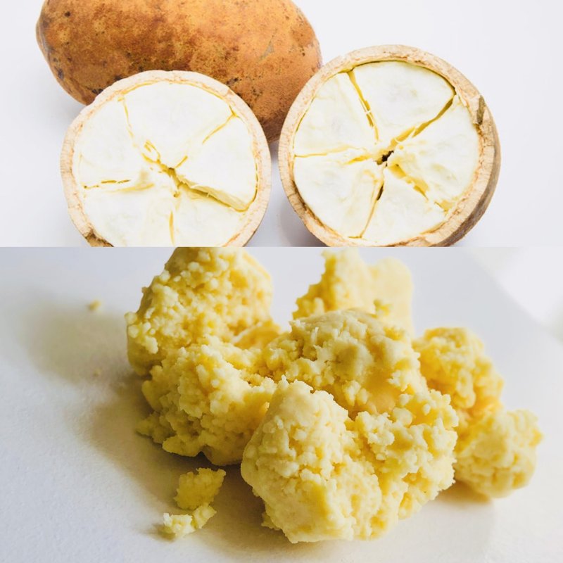 Oslove Organics Cupuacu butter 16 oz-Pure and Natural | Fresh, Rich and Creamy in DIY mixes | Vegan butter | Use for whipped body butters, salves, lotions & soaps. (16 oz)