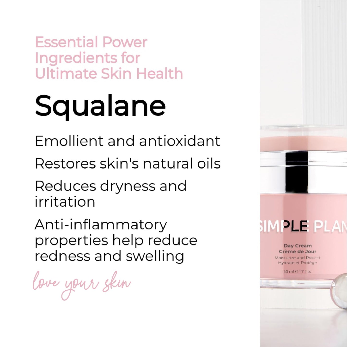 SIMPLE PLAN Daily Hydrating Day Cream with Hyaluronic Acid & Ceramides – Fragrance-Free Advanced Day Cream for Sensitive Skin – Lightweight, Non-Greasy for Men & Women (50ml)