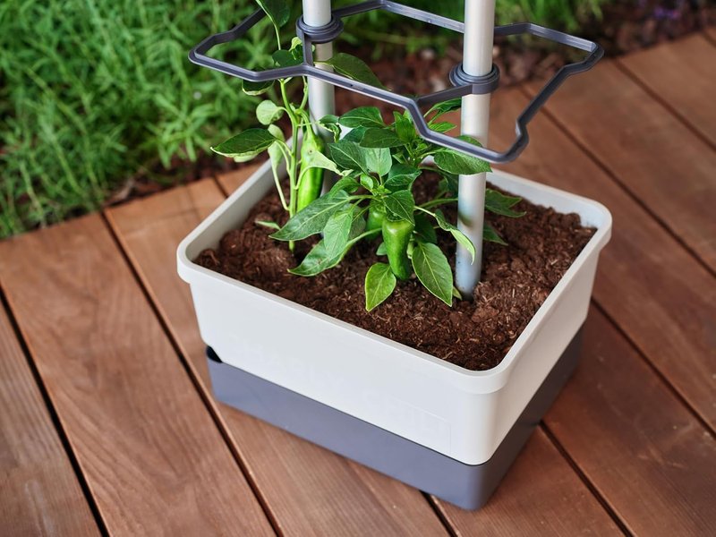 Charly Chili Self-Watering Planter with Vertical Trellis | 1.2 Gal Capacity for Peppers & Eggplants - Grey