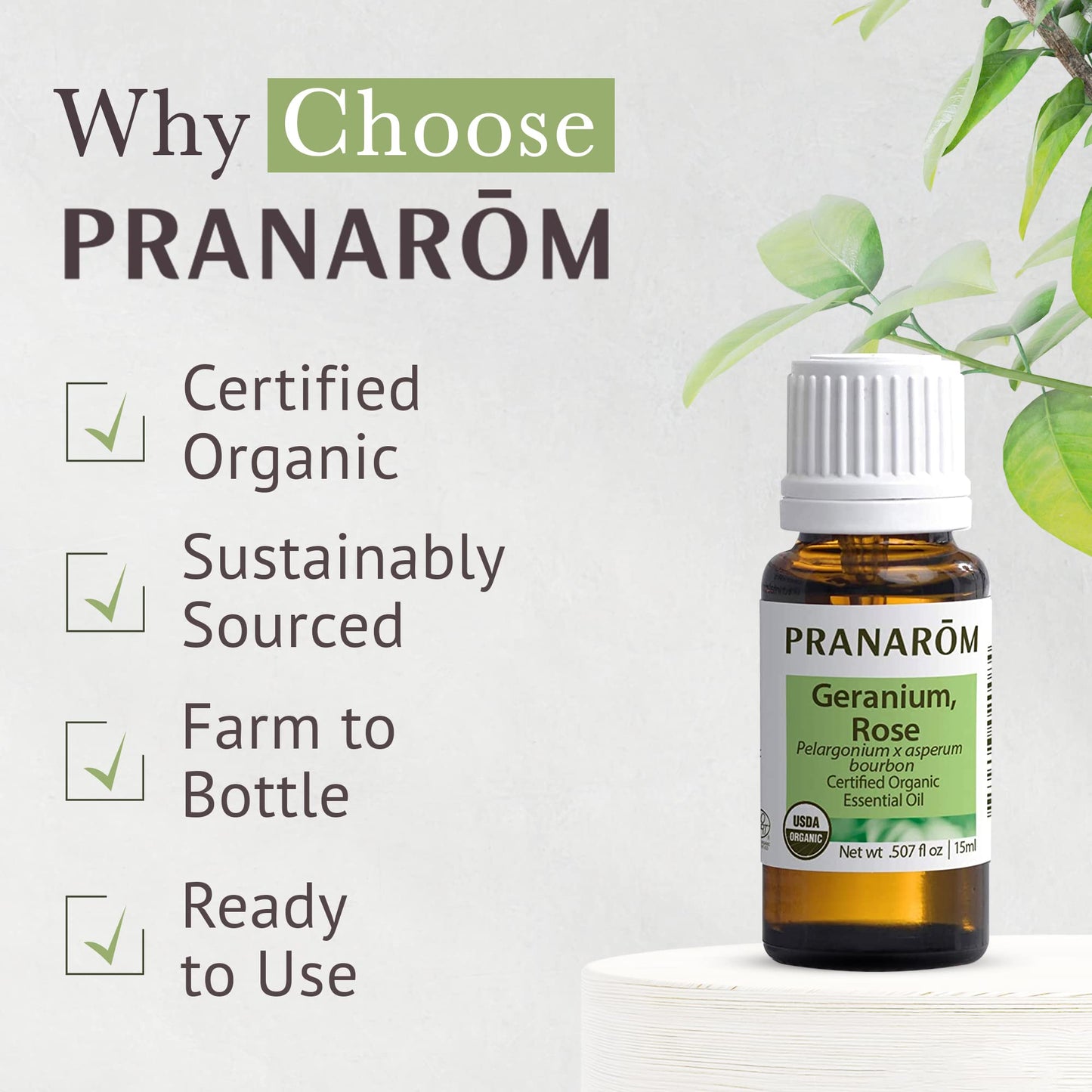 Pranarom USDA Certified Organic Rose Geranium Essential Oil (15ml), 100% Pure Undiluted Therapeutic Grade from Madagascar for Aromatherapy, Diffuser, Skincare, Relaxation, Pure Rose Scent