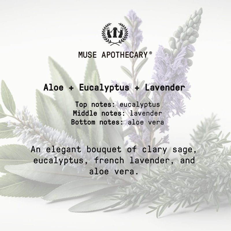 Muse Apothecary Hand Ritual - Aromatic and Nourishing Hand Soap, Infused with Natural Aromatherapy Essential Oils - USDA Certified Biobased - 16 oz, Aloe + Eucalyptus + Lavender, 3 Pack