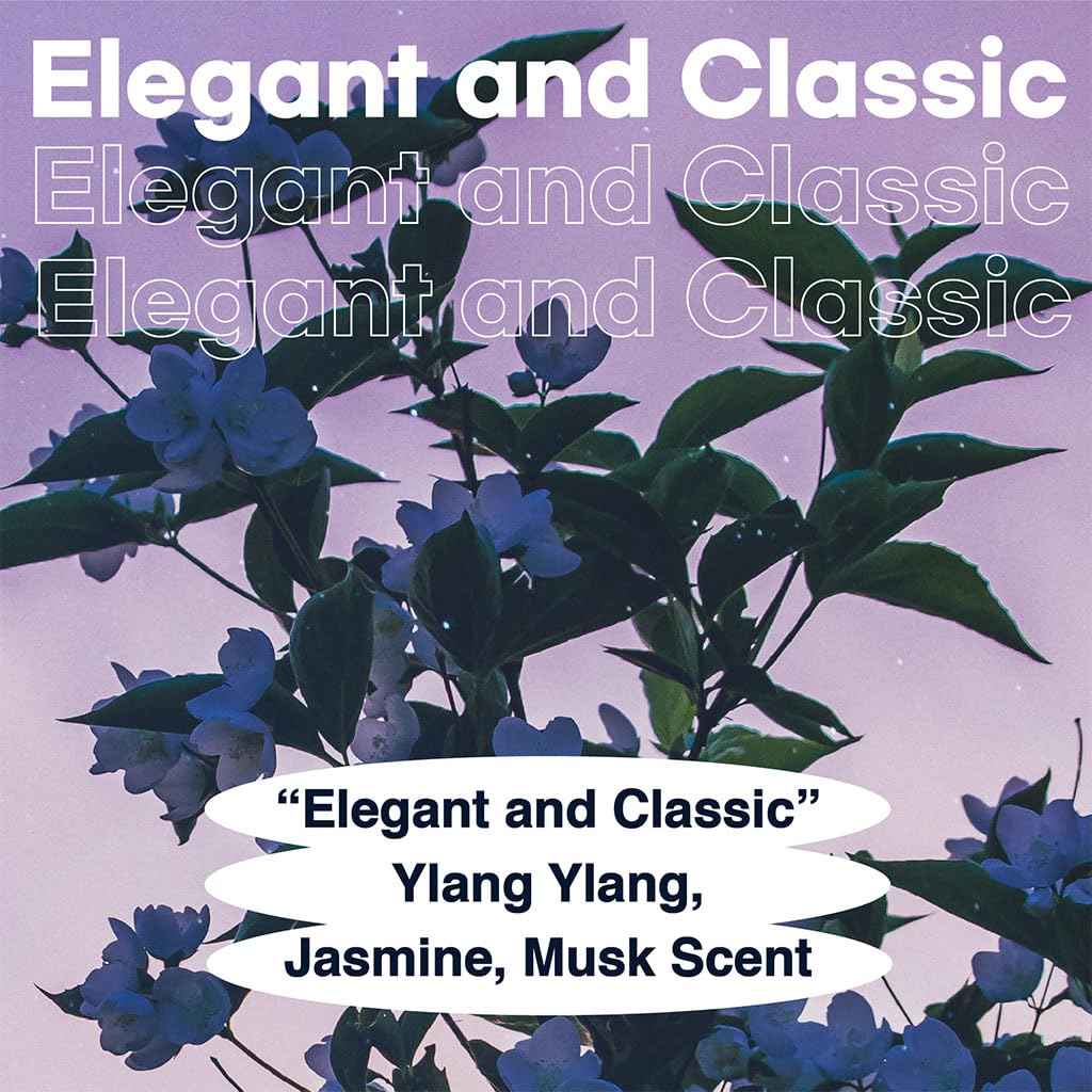 skybottle Perfumed Body Lotion with Pump, Fast Absorbing, Korean Skin Care, Ylang Ylang, Jasmine, Musk Scented Lotion for Women & Men, 10.1 Fl. Oz