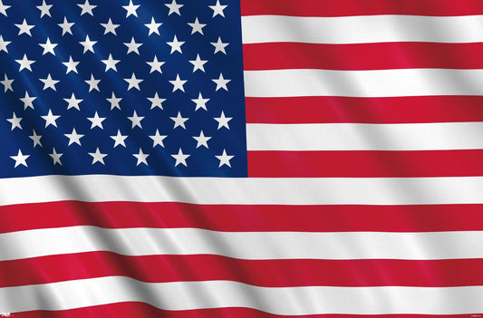 Trends International United States of America Flag Wall Poster 22.375" x 34"