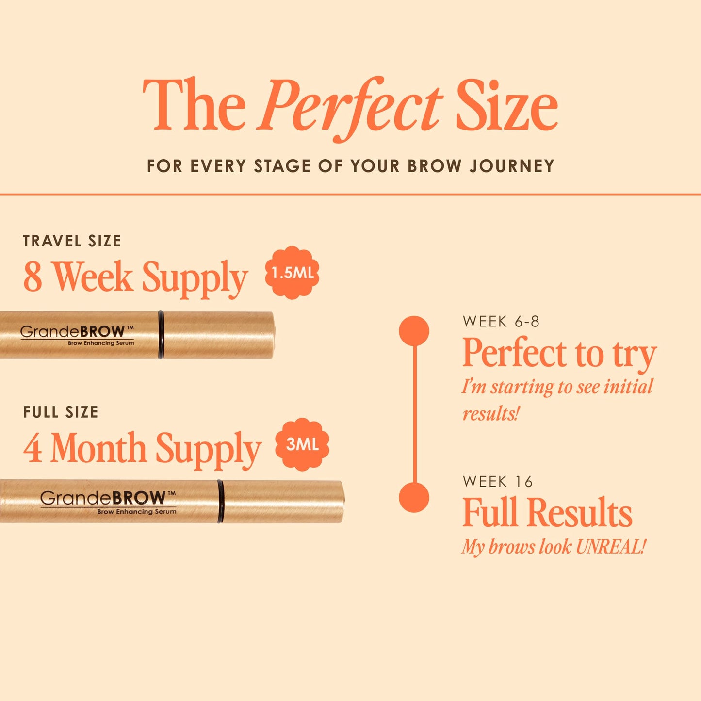 Grande Cosmetics GrandeBROW Brow Enhancing Serum for Fuller, Bolder, Looking Eyebrows - Brow Serum With Vitamins, Peptides, Antioxidants, Amino Acids, Cruelty Free - 8 Week Supply (1.5 mL)
