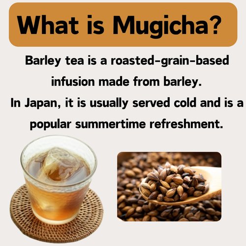 MAEDA-EN Mugi-cha Barley Tea 32 Tea Bags Caffeine Free Japanese Origin Individually Wrapped Teabag 17616 1pk