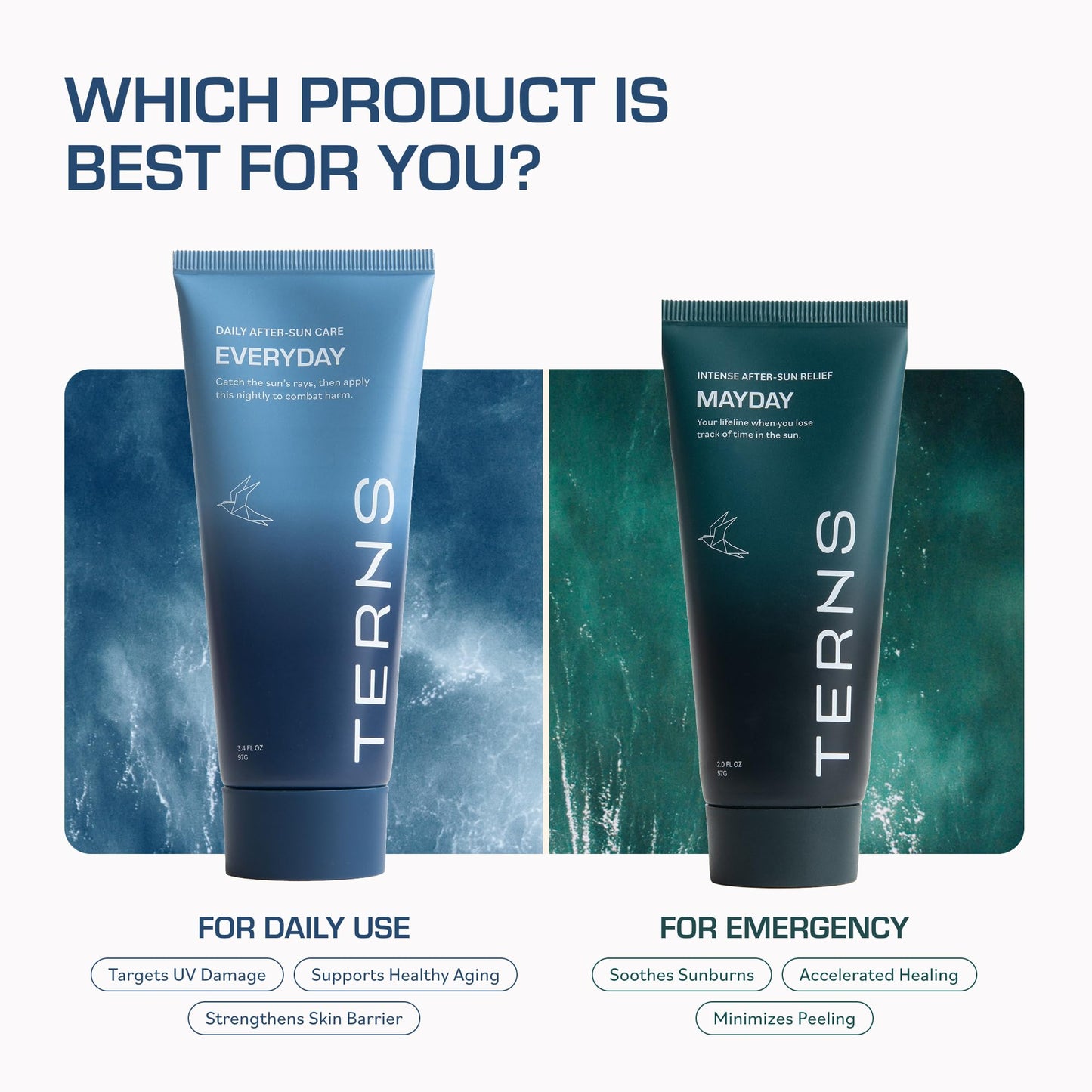 TERNS Everyday Advanced Moisturizer for Face & Body, Daily Skin Care Lotion for Men & Women, Marine Bioactive Skin Cream, Supports Firmness & Hydration, Travel Friendly, Natural Fragrance, 3.4 Oz