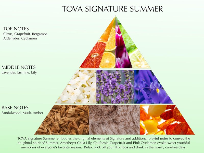 Tova Signature Summer Eau de Parfum – Floral Citrus Perfume for Women – Bergamot Jasmine Musk – Crafted in France & Cruelty-Free – 3.4 fl oz