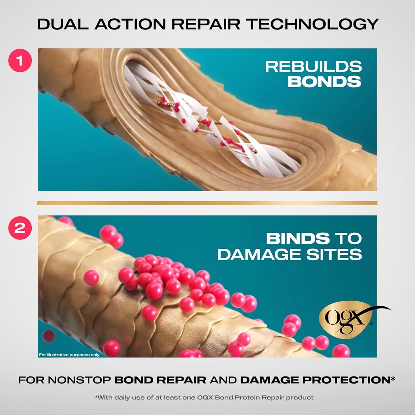 OGX Repair & Protect Bond Protein Repair Conditioner, Lightweight Conditioner Targets Damaged Areas of Hair, Formulated without Parabens, Sulfate-Free Surfactants, 13 fl. oz