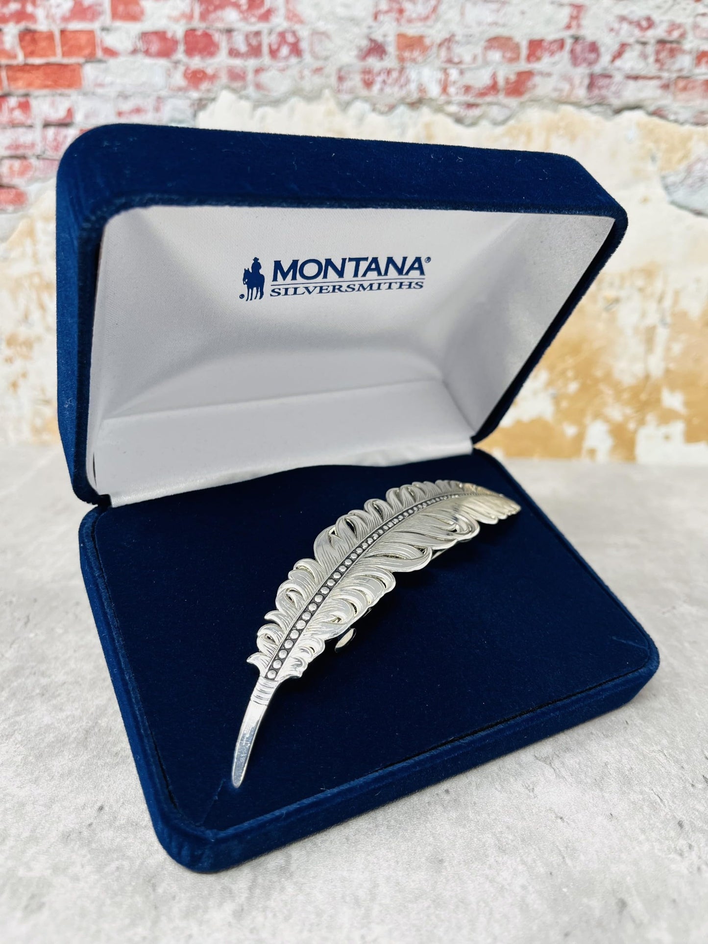 Montana Silversmiths Western Lifestyle Barrette (Horizon Turquoise)