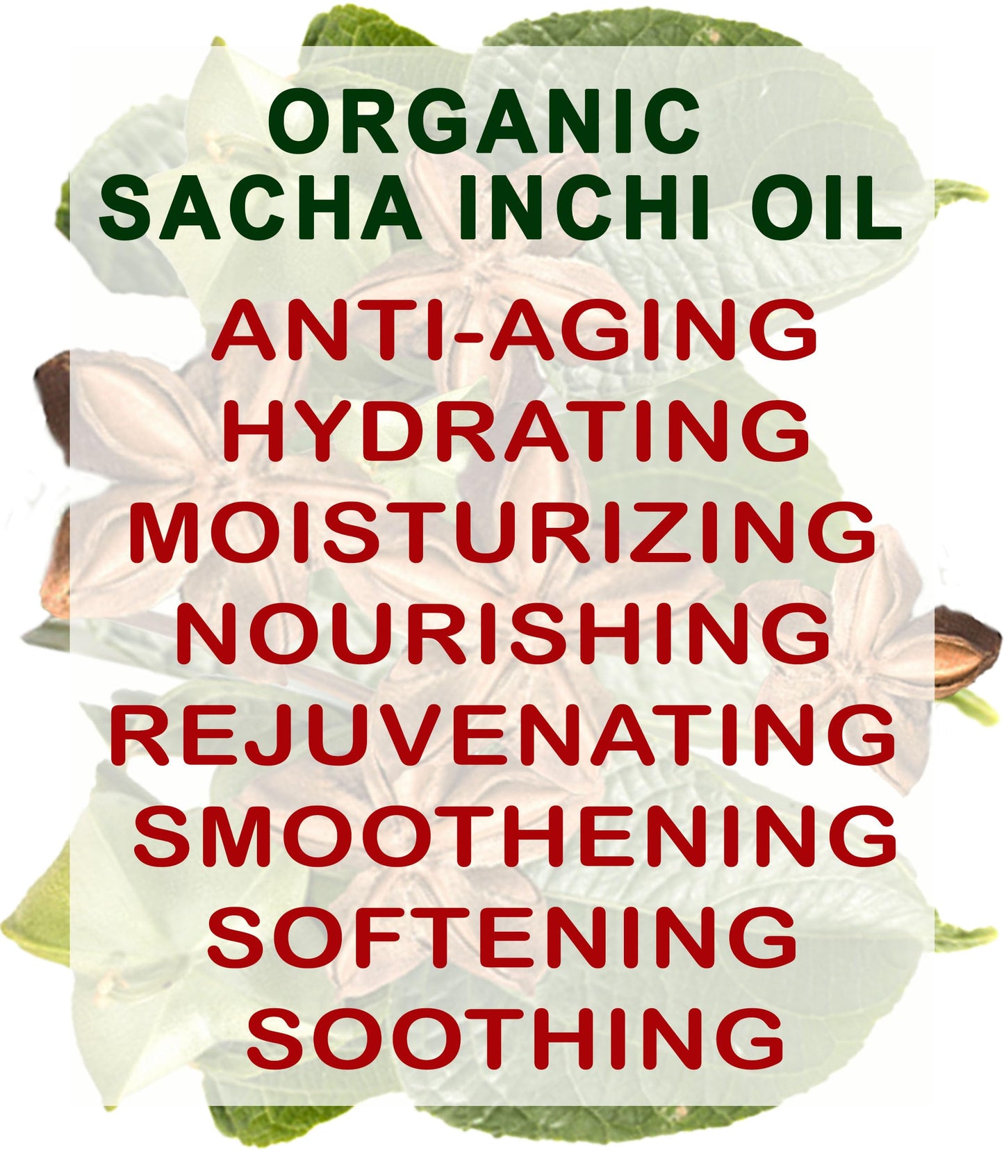 Botanical Beauty Organic SACHA INCHI OIL 100% Natural Pure Undiluted Virgin Unrefined Cold Pressed Carrier Certified Organic Oil For Face, Skin, Hair, Lip, Nails, Rich in Vitamin E (2 Fl Oz 60 ml)
