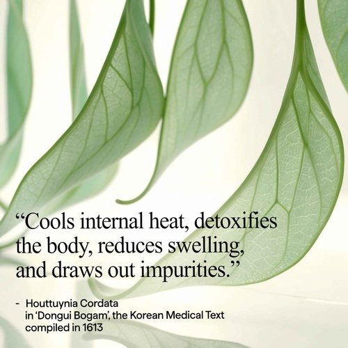 All Natural Houttuynia Cordata Cotton Toner Pad – Cooling and Soothing Heartleaf Toner Facial Pads, Gentle for Daily Use and Sensitive Skin (60pcs)