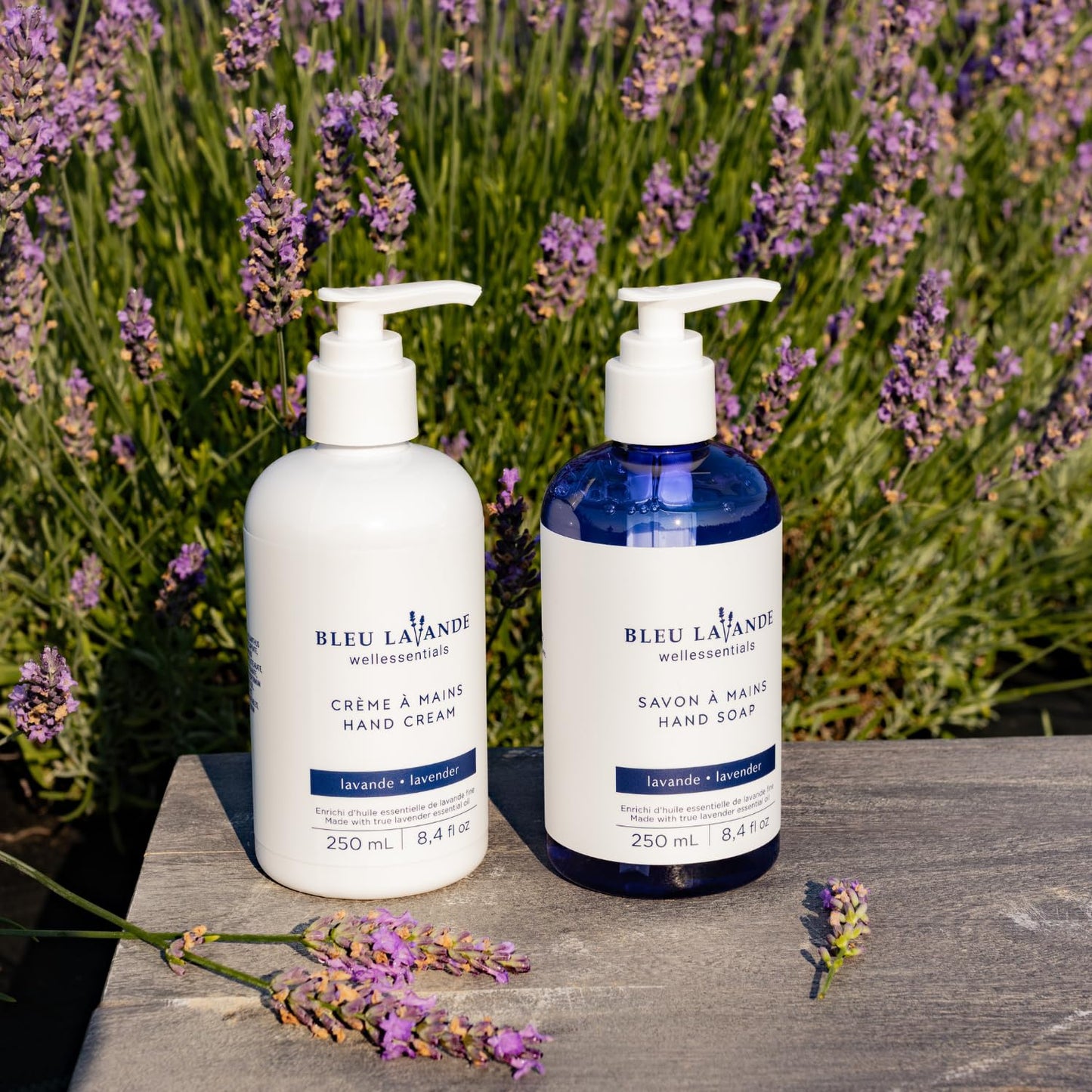Bleu Lavande lavender hand care gift set - Soothing Aromatherapy – Made with Premium True Lavender Essential Oil - Natural products – lavender hand soap & hand cream – No sulfates