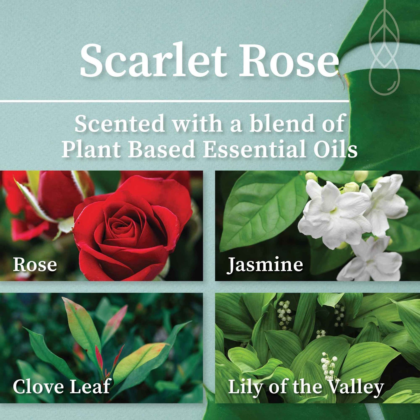 Hemlock Park Coconut Milk Bath Soak | Organic Coconut Milk, Botanicals, Dead Sea Salt, Epsom Salt, and Himalayan Pink Mineral Salt | 9.5 oz Jar