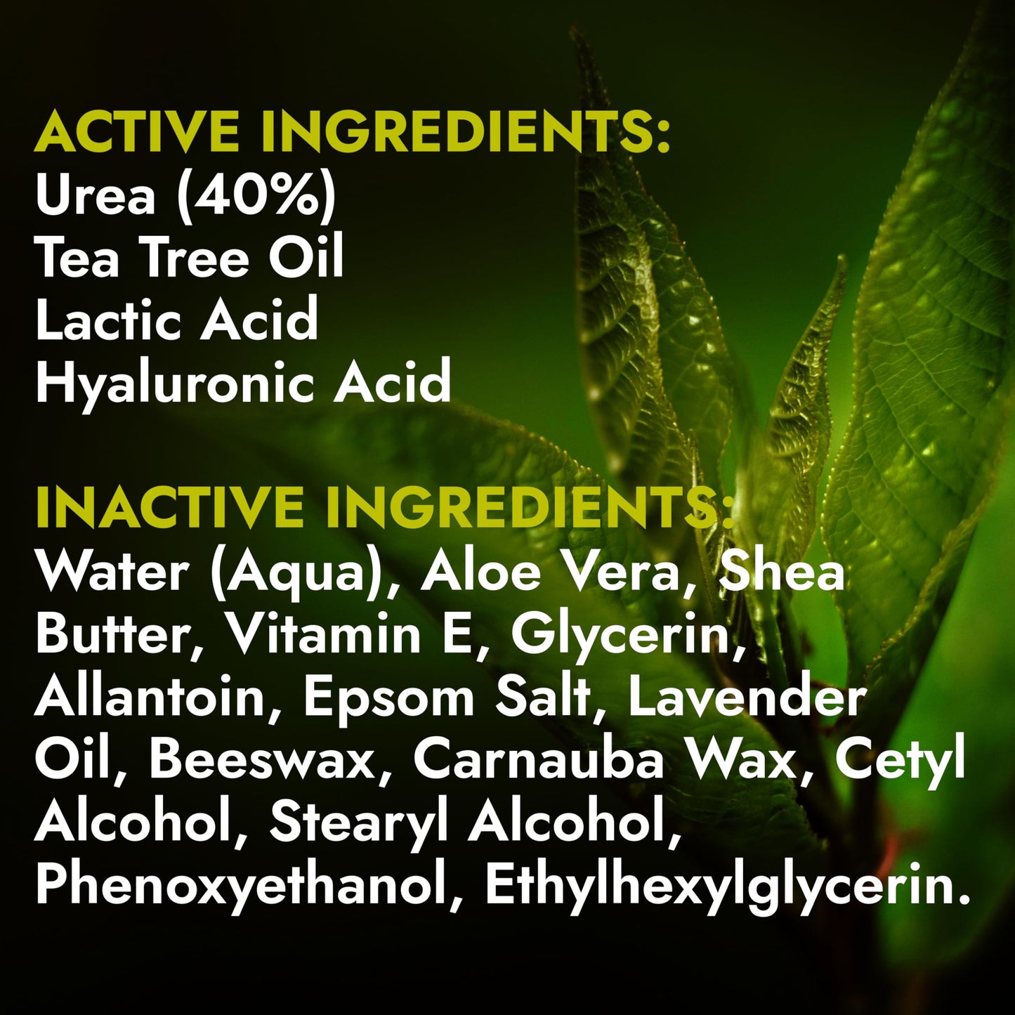 Foot Cream with Tea Tree Oil | Antifungal Cream to Soothes Cracked Heels, Dry Skin & Itchy Feet | Helps with Athleteβs Foot, Nail Fungus & Jock Itch | Relieves Itching & Burning | 4.05 fl oz