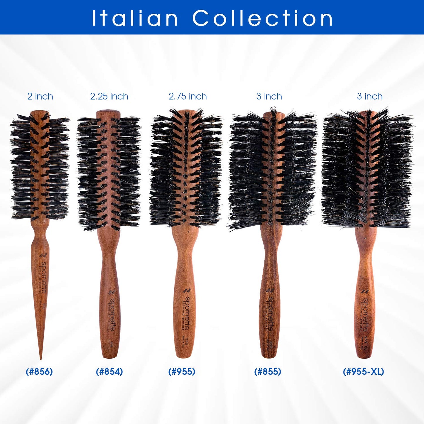 Spornette Italian Round Boar Bristle Brush - Large Round Brush for Blow Drying, Styling & Volumizing - Wooden Brush for Medium to Long Thick, Fine, Curly or Straight Hair (2.25 inch)