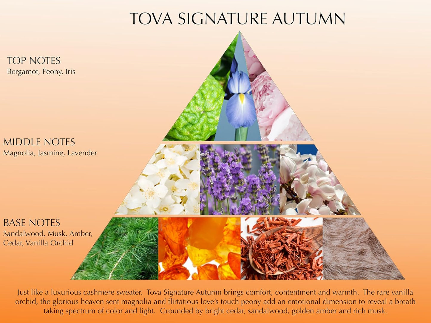 Tova Signature Autumn Eau de Parfum - Floral Amber Perfume for Women | Peony, Iris & Vanilla Orchid - 3.4 fl oz