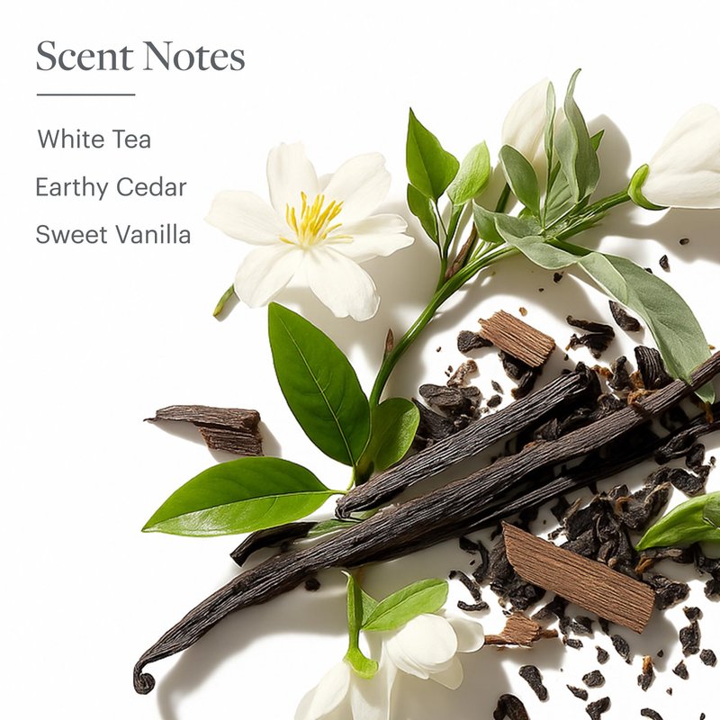 Westin White Tea Aloe Shampoo - Vitamin and Antioxidant-Packed Shampoo for All Hair Types - Signature White Tea Aloe Scent - 8 ounces