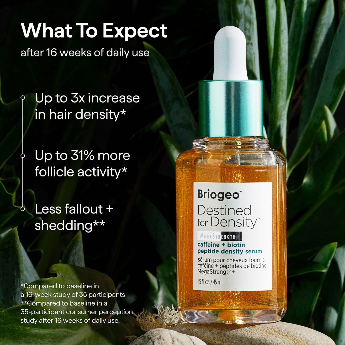 Briogeo Destined for Density Caffeine + Biotin Peptide Density Serum | Increases Hair Thickness & Volume for Fine or Thinning Hair | Fast-Absorbing & Non-Greasy | Fragrance-Free | Vegan & Cruelty-Free