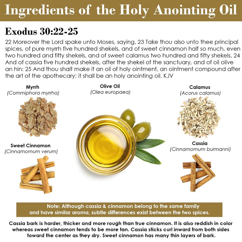 BIBLE N Beautyoils Exodus 30:22-25 Sacred and Holy Anointing Oil, Made From Scratch With Myrrh, Calamus, Cinnamon, Cassia, and Olive Oil Herbal Spices and Essential Oils for Healing Prayers - 1 fl oz