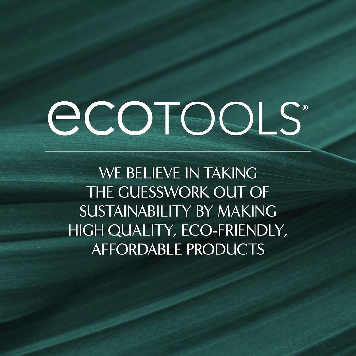 EcoTools EcoPouf Bath Brush, Loofah Brush for Bath & Shower, Made with Long Handle & Recycled, Soft Netting for Gentle Exfoliation, Back Brush for Men & Women, Eco-Friendly & Cruelty-Free, 1 Count