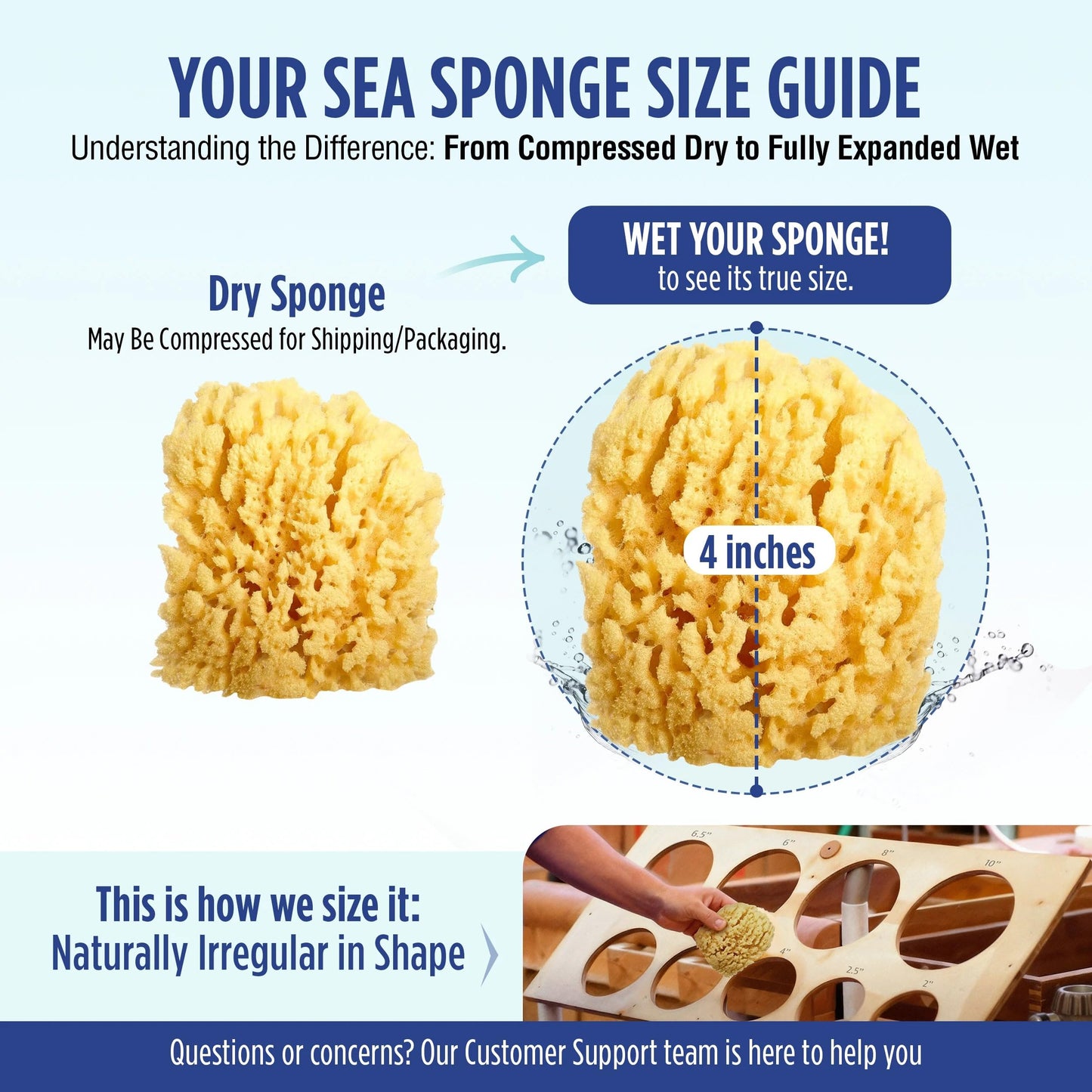 Baby Buddy Natural Baby Bath Sponge 4in Soft Grass Sea Sponge, Soft on Baby's Tender Skin, Biodegradable, Hypoallergenic, Absorbent Natural Sea Sponge, 2 Pack, Yellow