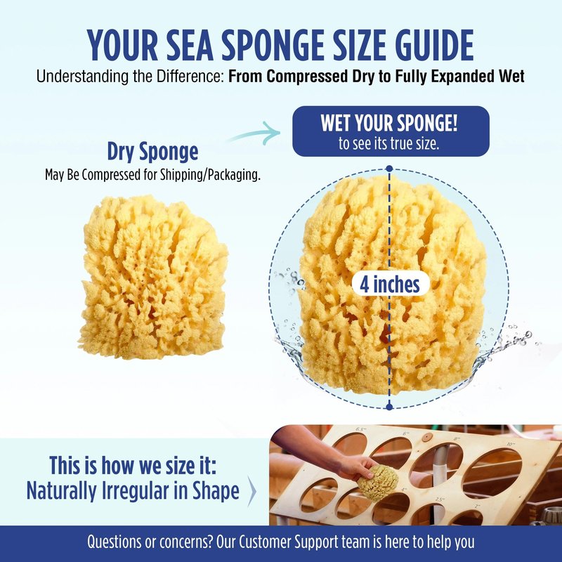 Baby Buddy Natural Baby Bath Sponge 4in Soft Grass Sea Sponge, Soft on Baby's Tender Skin, Biodegradable, Hypoallergenic, Absorbent Natural Sea Sponge, 2 Pack, Yellow
