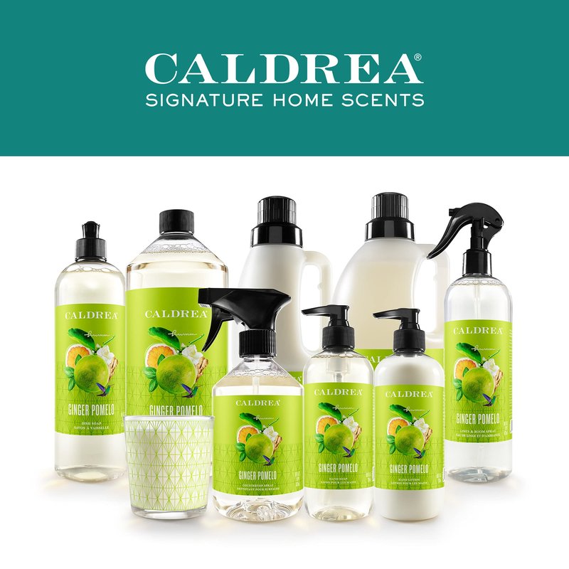 Caldrea Hand Soap Refill, Aloe Vera Gel, Olive Oil and Essential Oils to Cleanse and Condition, Ginger Pomelo Scent, 32 oz