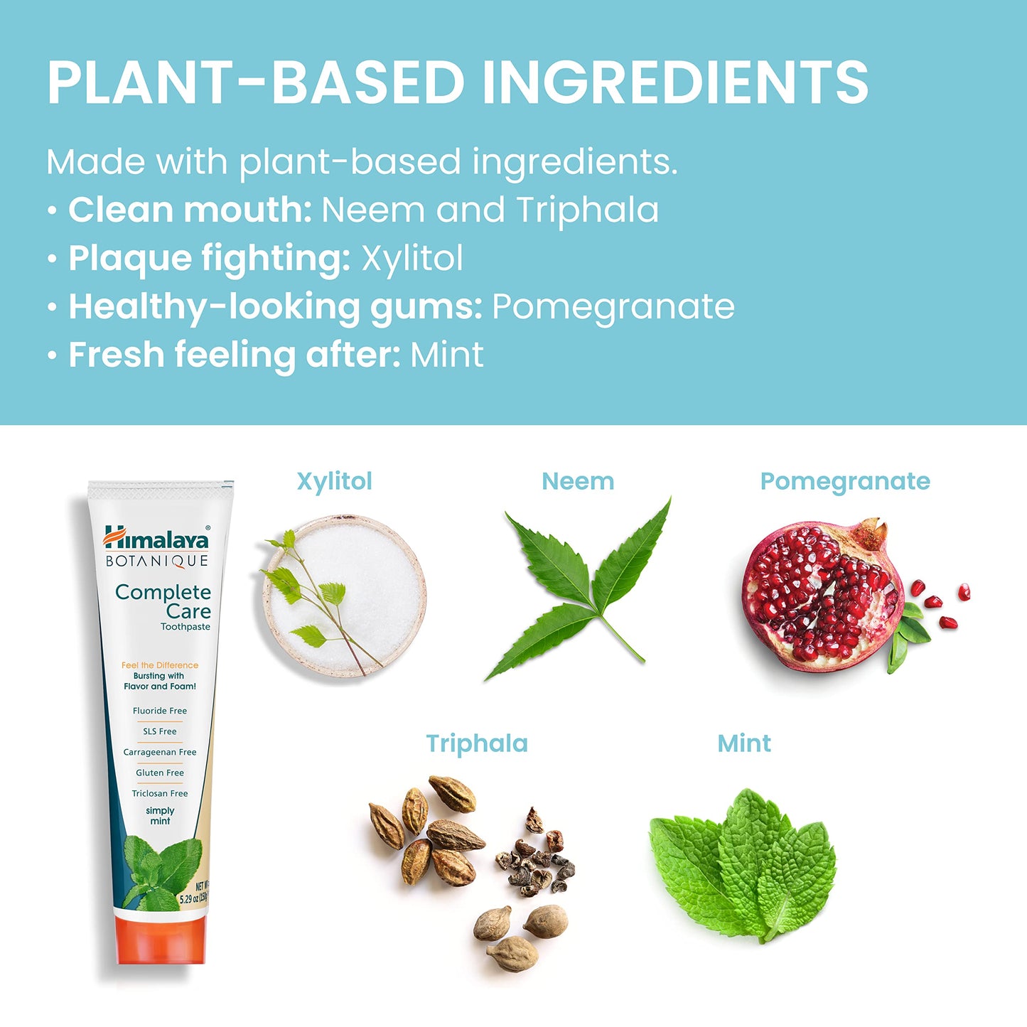 Himalaya Botanique Complete Care Toothpaste - Herbal, Mint, Fluoride-Free, SLS Free - 5.29 Oz, 4 Pack
