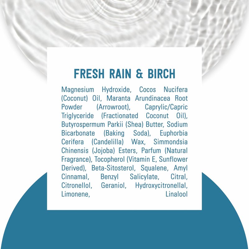 Schmidt's Aluminum-Free Vegan Deodorant Fresh Rain & Birch with 24 Hour Odor Protection, for Women and Men, Natural Ingredients, Cruelty-Free, 2.65 oz