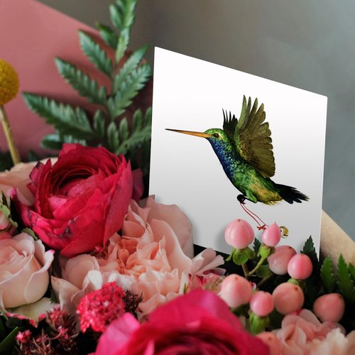 3dRose Hummingbird Christmas - Greeting Cards, 6 x 6 inches, set of 12 (gc_37130_2)