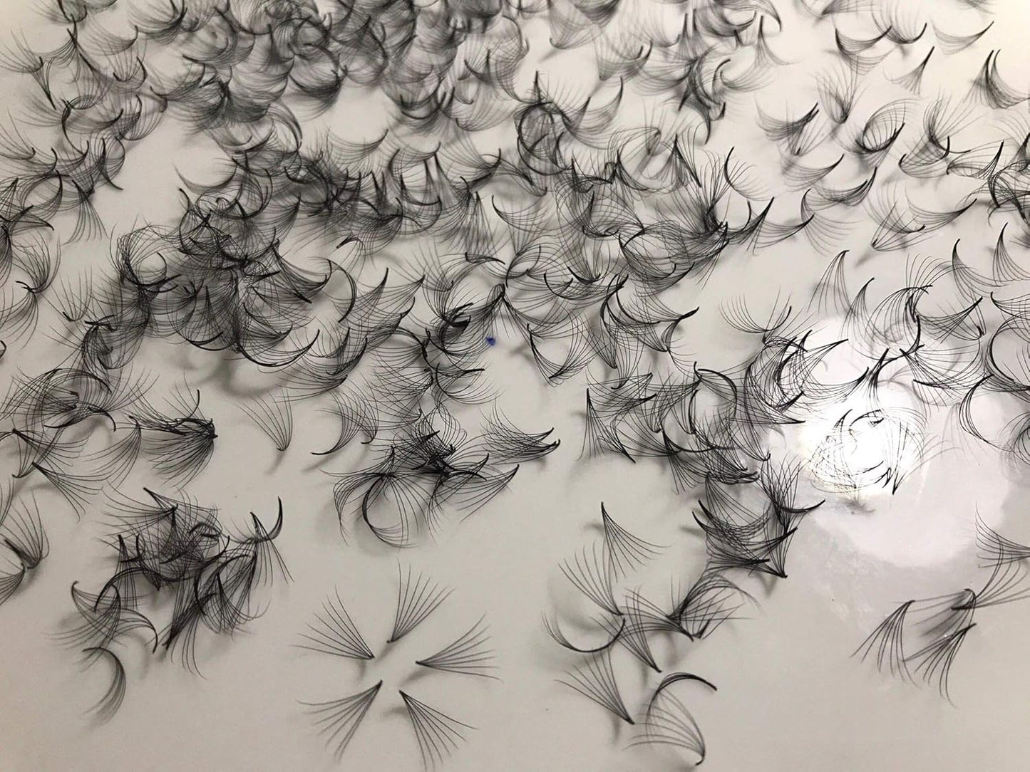 7D Premade Fan Lashes for Eyelash Extension - C Curl, D Curl, M Curl, 0.07 Thickness | Length 10mm-15mm