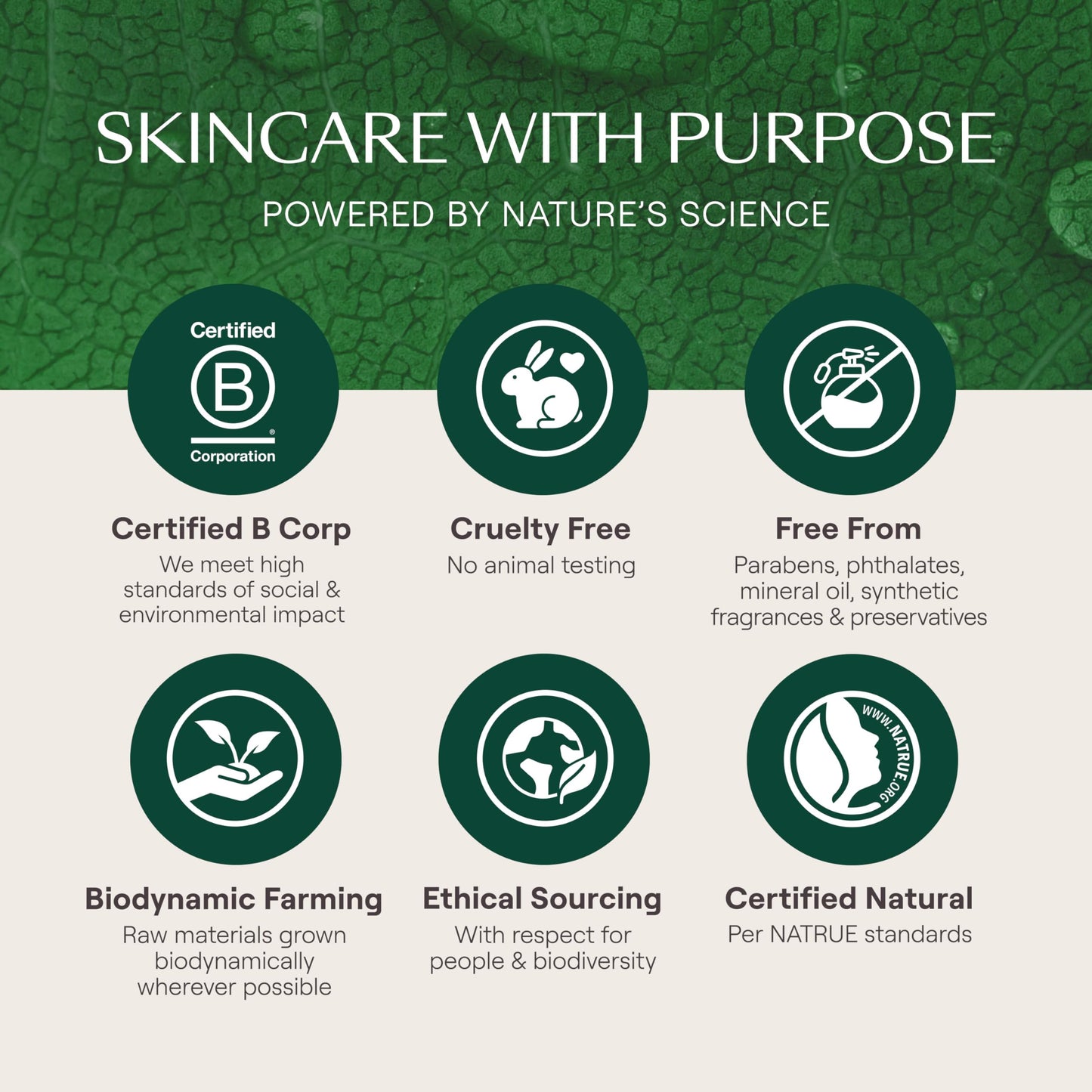 Weleda Skin Food Hydrating Duo, 2.5 Fluid Ounce Skin Food Original Body Cream Skin Food, 0.27 Fluid Ounce Skin Food Lip Butter, Plant Rich Moisturizer with Pansy, Chamomile and Calendula