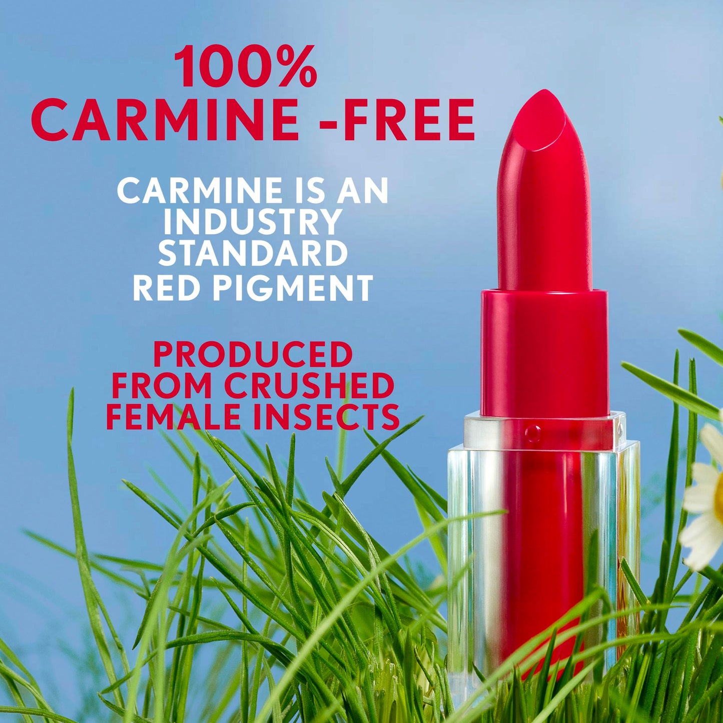 CoverGirl Clean Lip Color, Crema, Satin Finish, Squalane, Avocado & Aloe, Carmine-Free, Non-Drying, 0.12oz