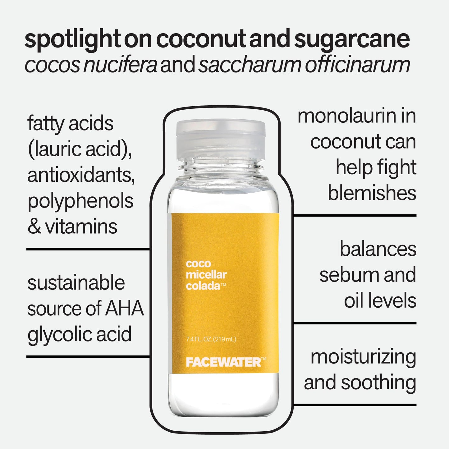 PLANT BEAUTY DISTILLERY Facewater Coco Micellar Colada Refreshing Micellar Makeup Remover