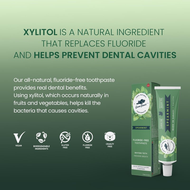 Green Beaver All Natural Organic Toothpaste, Vegan, Fluoride Free & Gluten Free Toothpaste, Spearmint Flavor, 75ml, 3 Pack