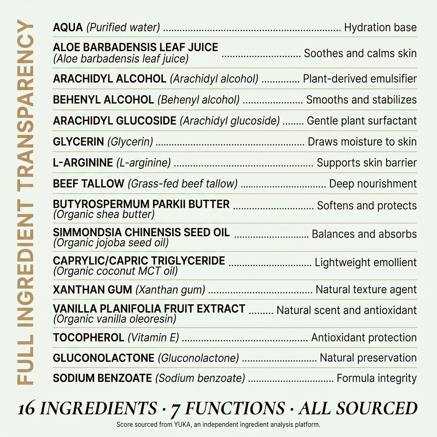 Clean + Kind Vanilla Tallow Body Lotion — Hydrating Non-Toxic Natural Body Moisturizer & Cream, Grass-Fed Beef, Organic Shea, Jojoba, Coconut MCT & Aloe for Dry Sensitive Skin (8 oz)