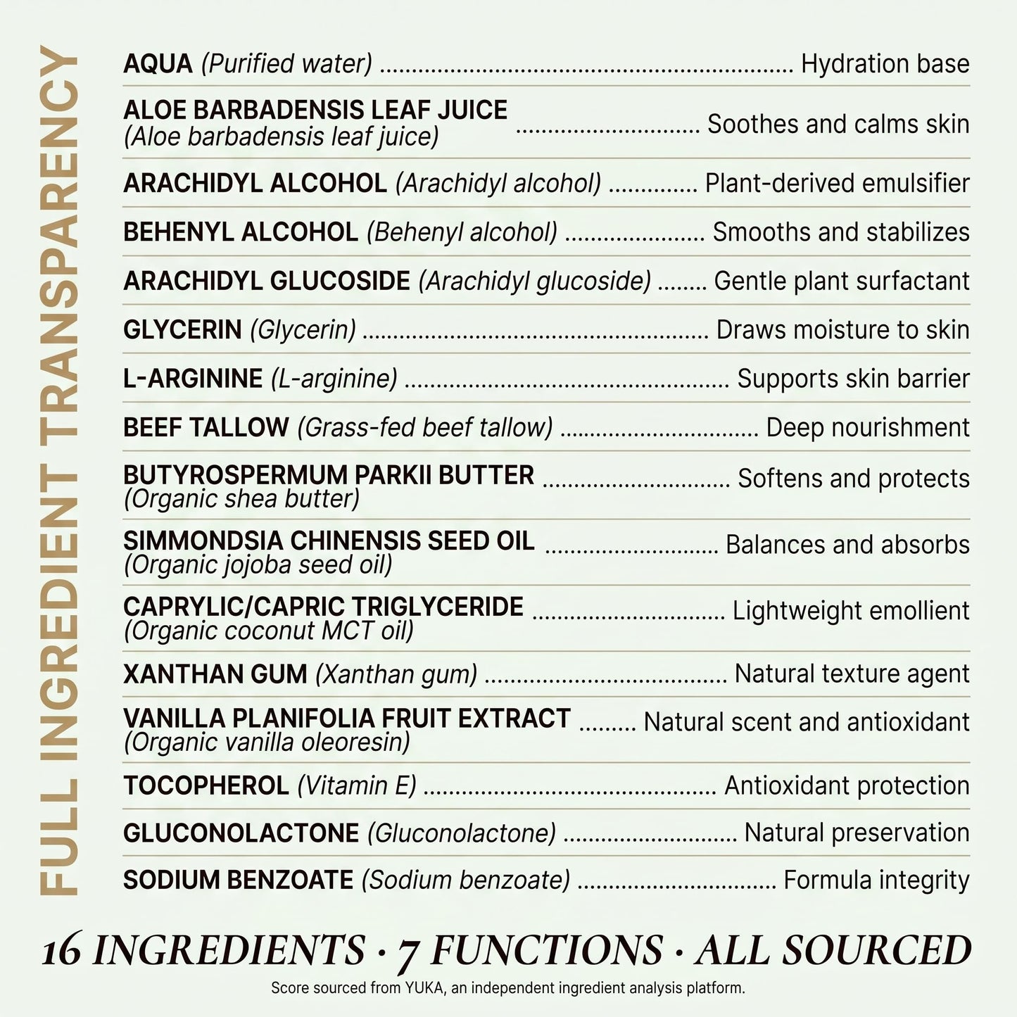 Clean + Kind Vanilla Tallow Body Lotion — Hydrating Non-Toxic Natural Body Moisturizer & Cream, Grass-Fed Beef, Organic Shea, Jojoba, Coconut MCT & Aloe for Dry Sensitive Skin (8 oz)