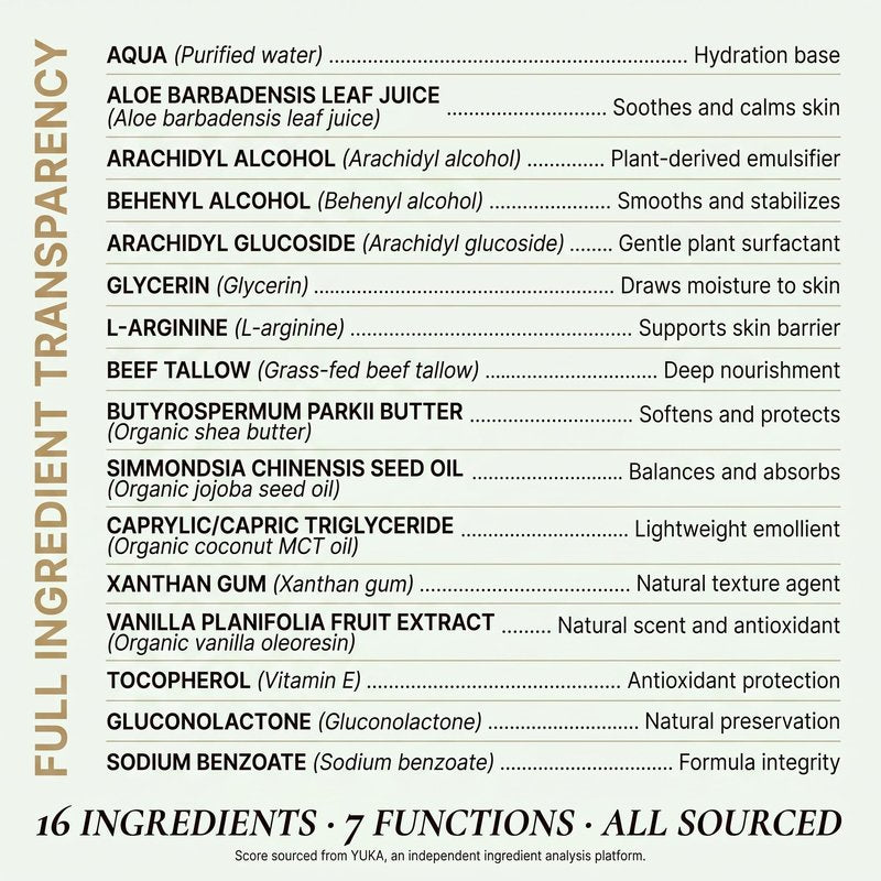 Clean + Kind Vanilla Tallow Body Lotion — Hydrating Non-Toxic Natural Body Moisturizer & Cream, Grass-Fed Beef, Organic Shea, Jojoba, Coconut MCT & Aloe for Dry Sensitive Skin (8 oz)