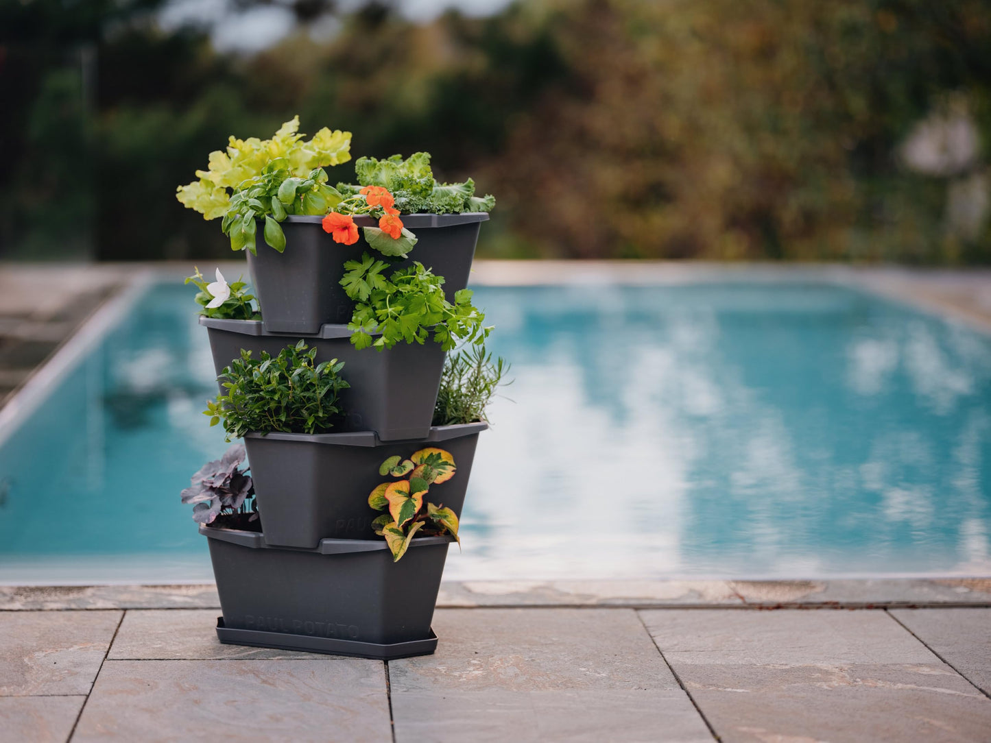 BUZZY Seeds Starter Stackable Vertical Planter – 4-Level Raised Garden Tower for Potatoes, Strawberries, Vegetables & Flowers (Gray)