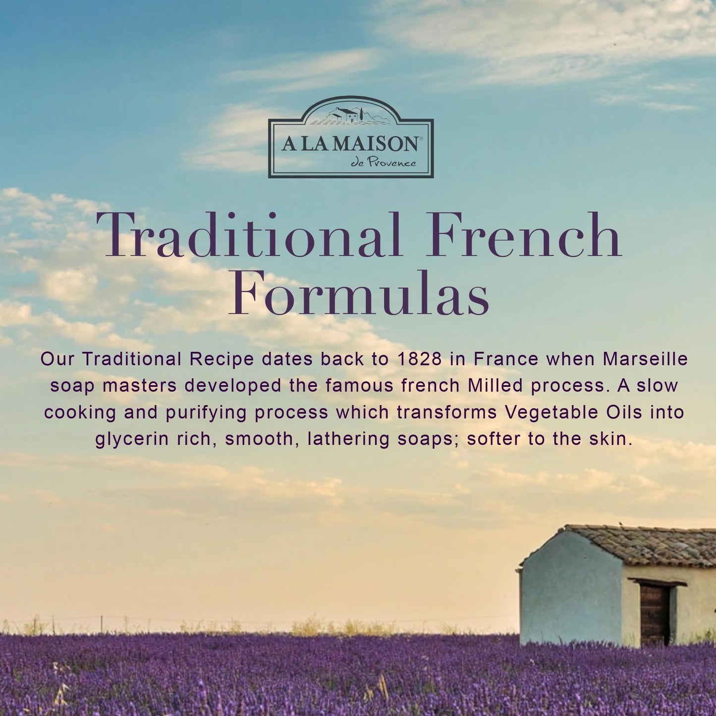 A LA MAISON Plumeria Natural Hand Wash Made with Essential Oils - Biodegradable, Plant-Based, Vegan, Cruelty-Free (16.9 Fl Oz, 2 Pack)