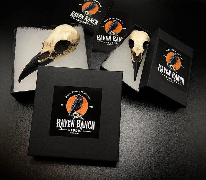 Gothic Raven Skull Hair Clip - Witchy Viking Wedding Accessory | Bridal Barrette for Unique Brides