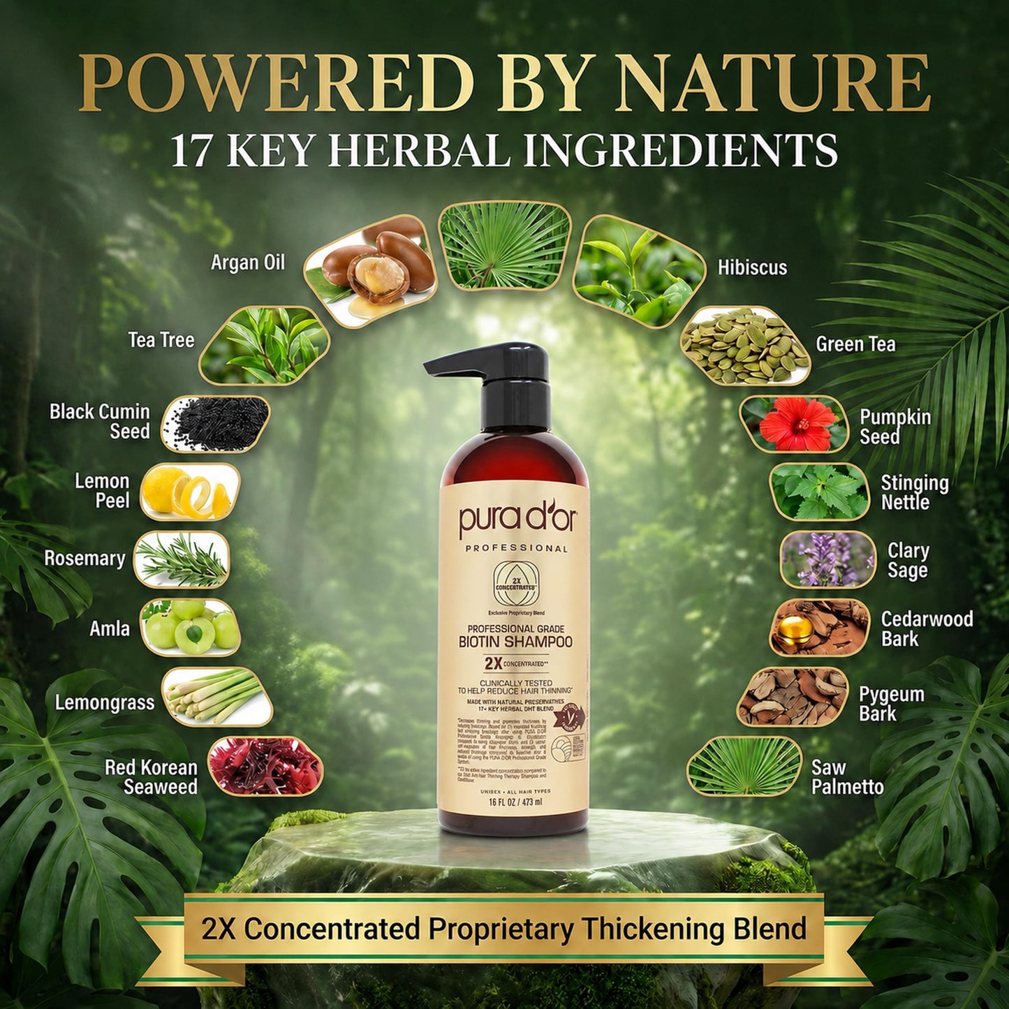 PURA D'OR Clinically Formulated Biotin Shampoo - Daily Hair Care Routine For Thinning Hair - 2X Concentrated 17+ Key Herbal Blend Hair Thickening Products For Women & Men, Botanical Zen Scent 16 Fl Oz